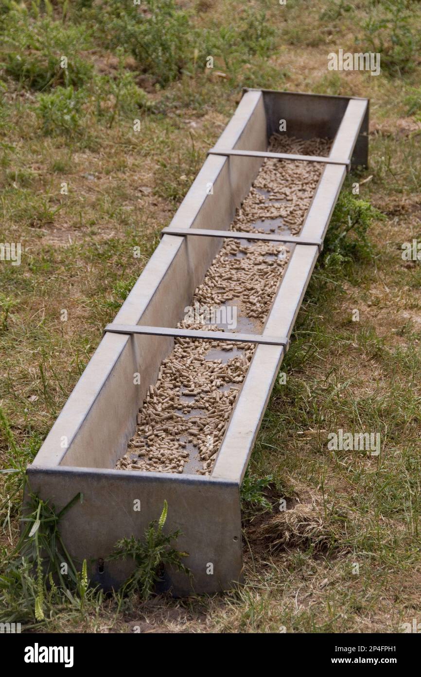 Feeding troughs, Animal feeding trough Stock Photo - Alamy