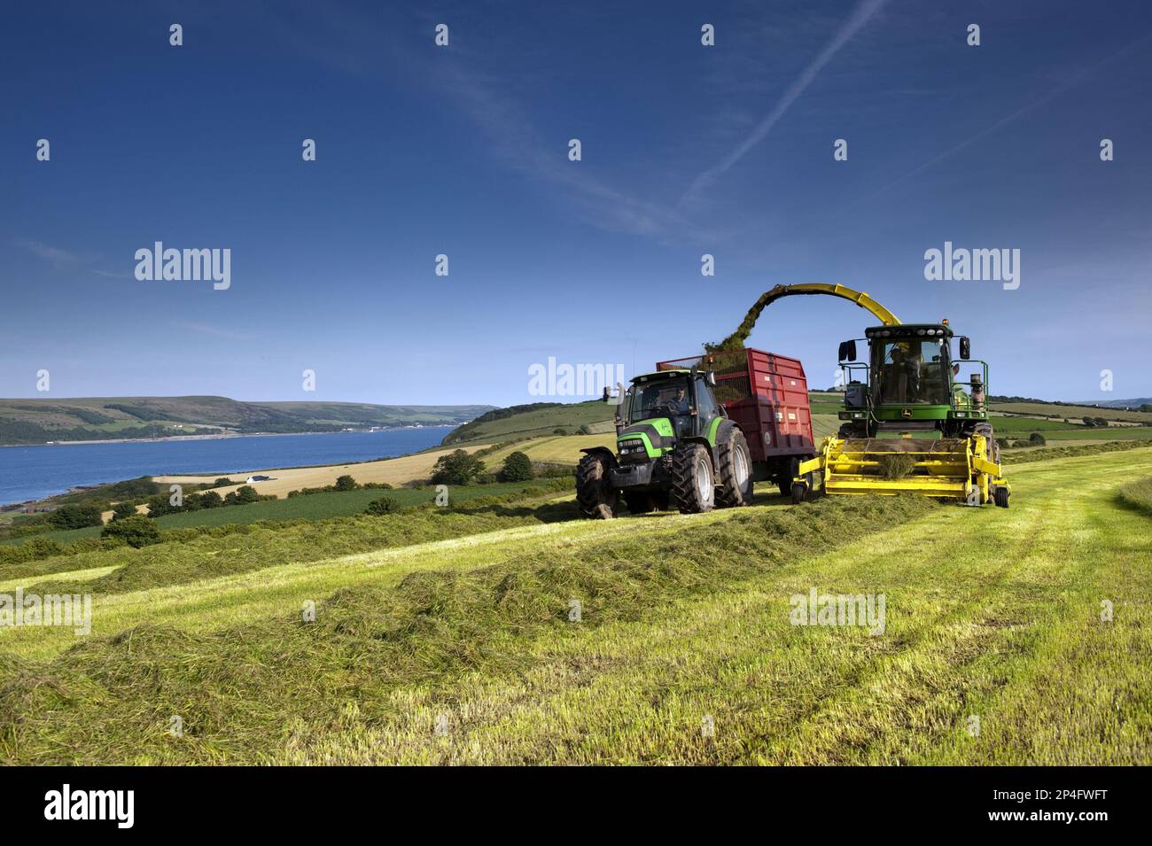 John Deere self-propelled forage harvester, tractor and trailer, grass for silage harvesting, Loch Ryan, Dumfries and Galloway, Scotland, United Stock Photo