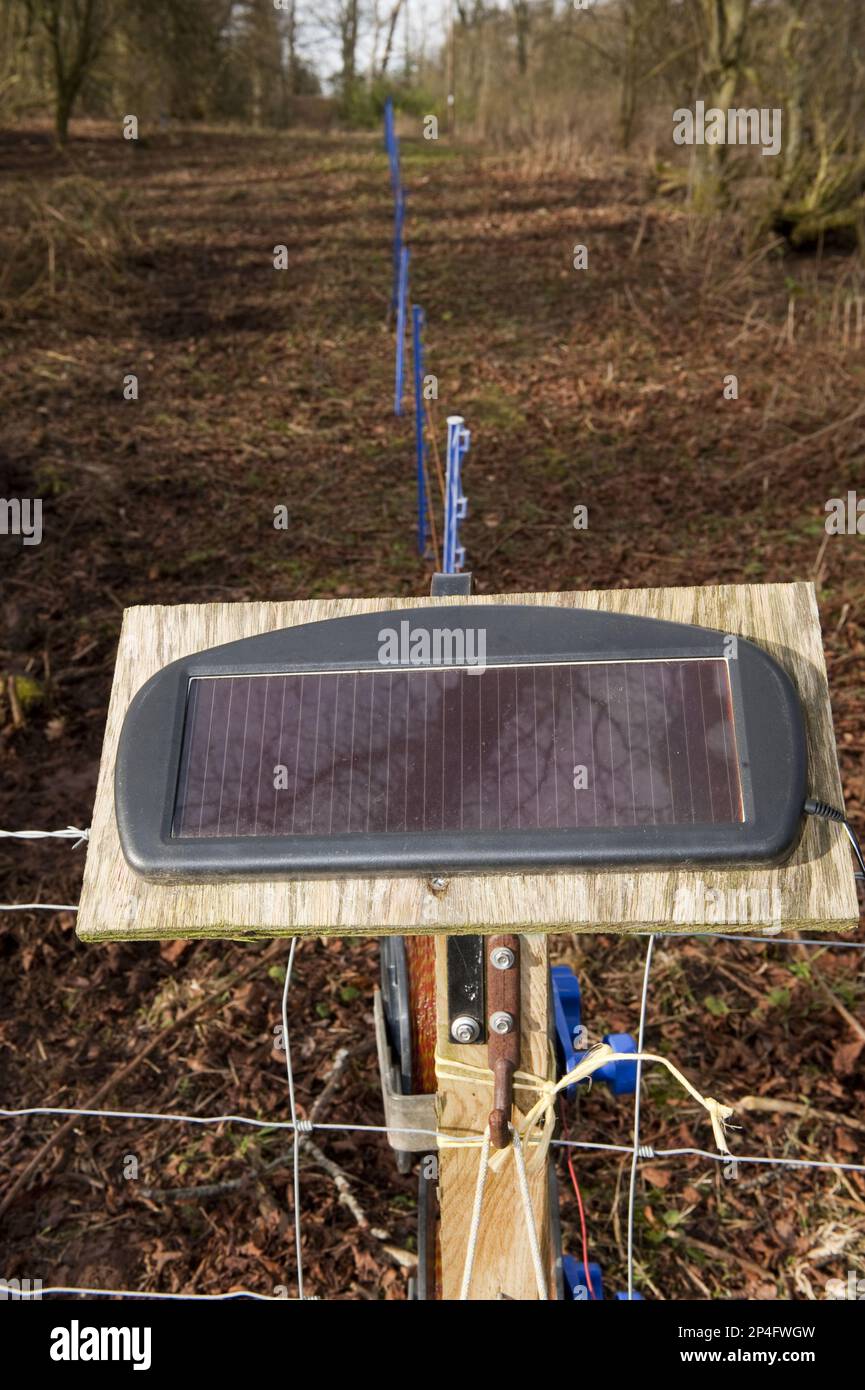 Solarpowered electric fences used to contain livestock, England