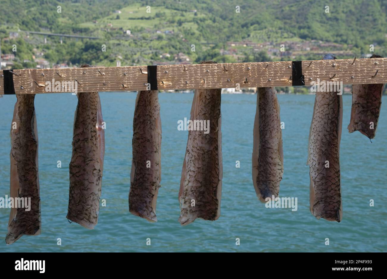 Drying freshwater fish, Monte Isola, Lago dIseo, Lombardy, Italy Stock Photo