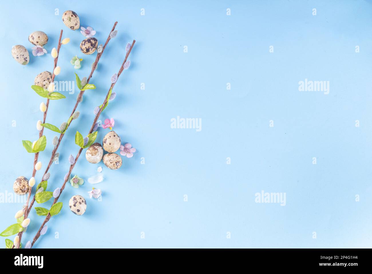 Spring Easter holiday top view background with eggs and willow flowers ...