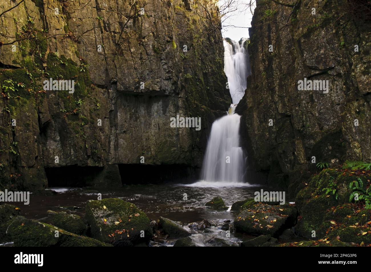 Waterfall pouring through narrow Catrigg Force, Stainforth Beck