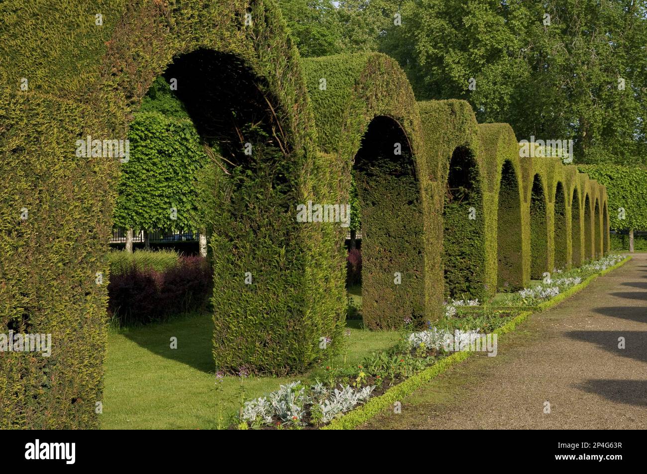 Topiary archways in public park garden, Jardin des Pres-Fichaux ...