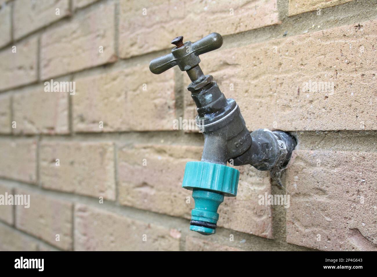 Close-up of garden tap, on brick wall of house, Suffolk, England, United Kingdom Stock Photo