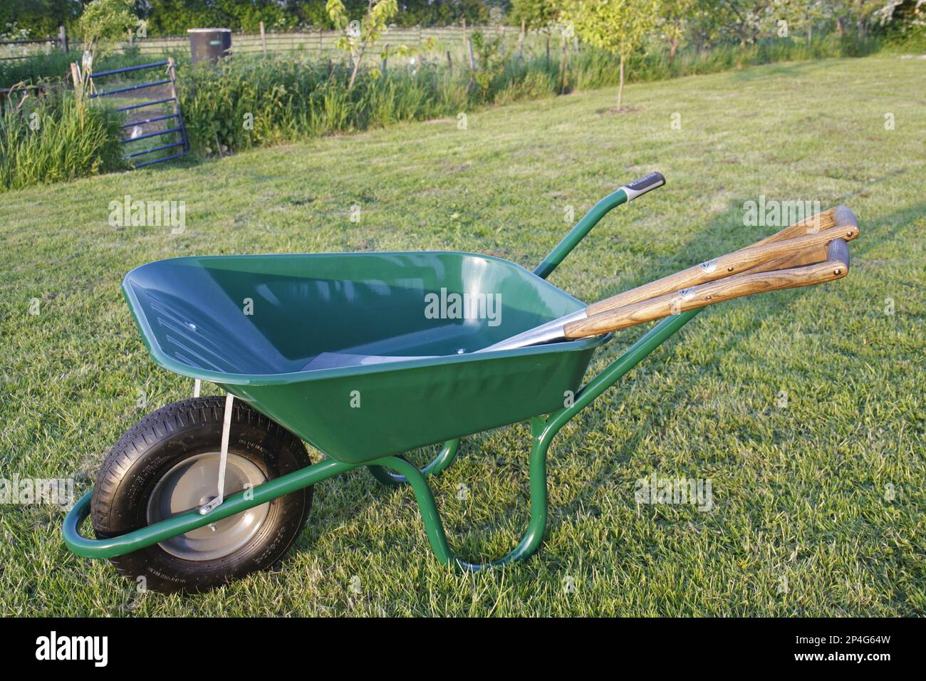 Wheelbarrow with spade and fork on garden lawn, Bacton, Suffolk, England, United Kingdom Stock Photo
