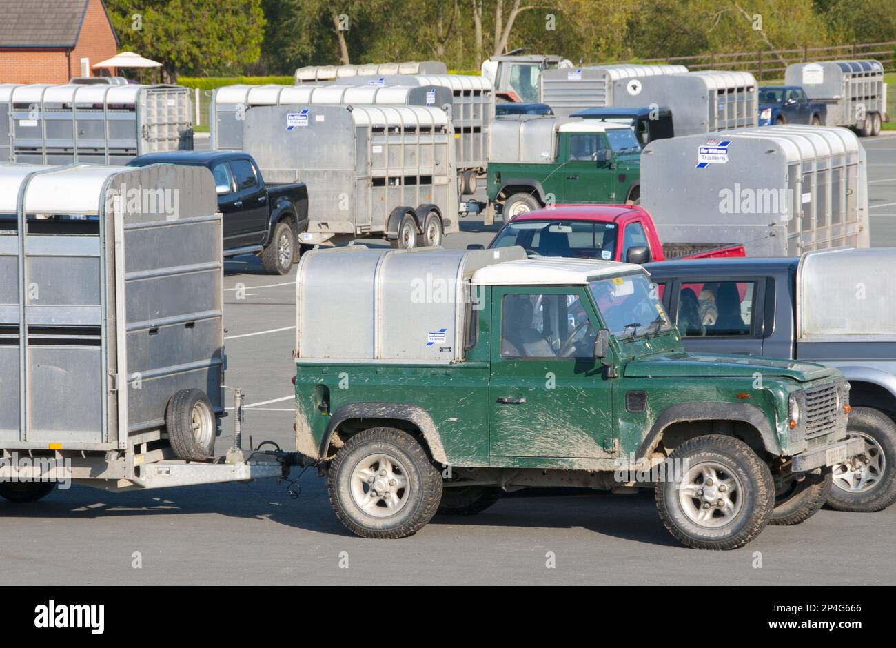 Land Rover and various other 4x4 vehicles and livestock trailers at livestock market, Welshpool Livestock Market, Powys, Wales, United Kingdom Stock Photo