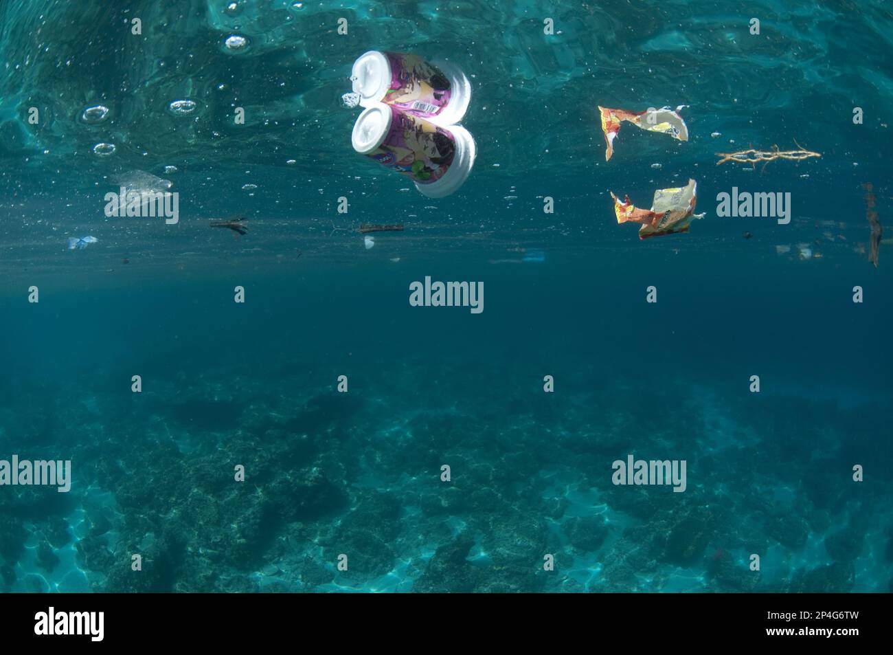 Rubbish floating on the sea surface, Ambon Island, Maluku Islands