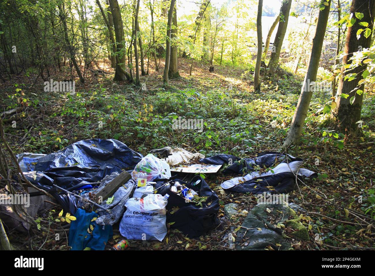 Plastic bags, bottles and cans discarded in woodland habitat, Northfield Wood, Onehouse, Suffolk, England, United Kingdom Stock Photo