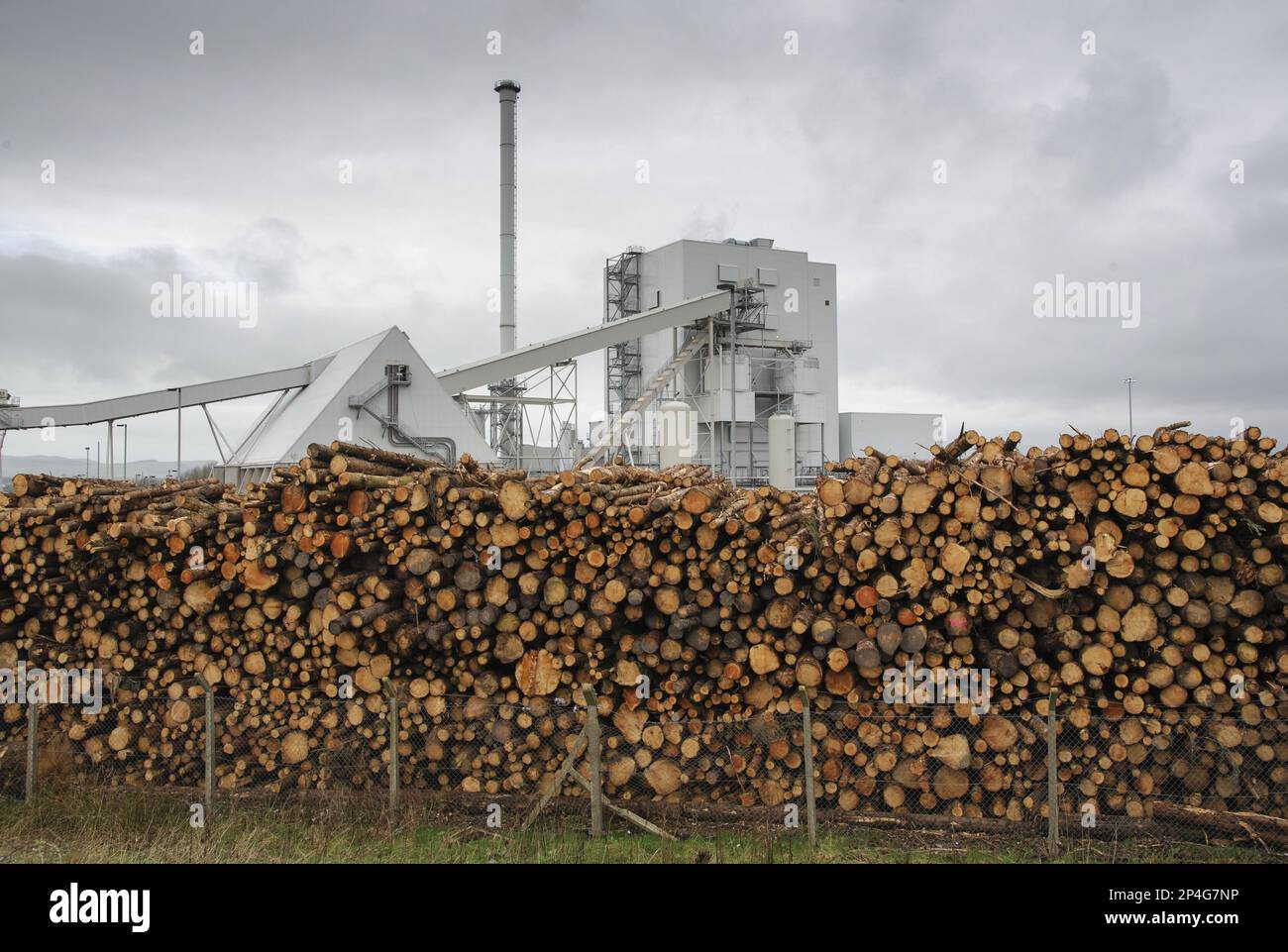 Biomass powerstation with stack of timber, largest biomass plant in