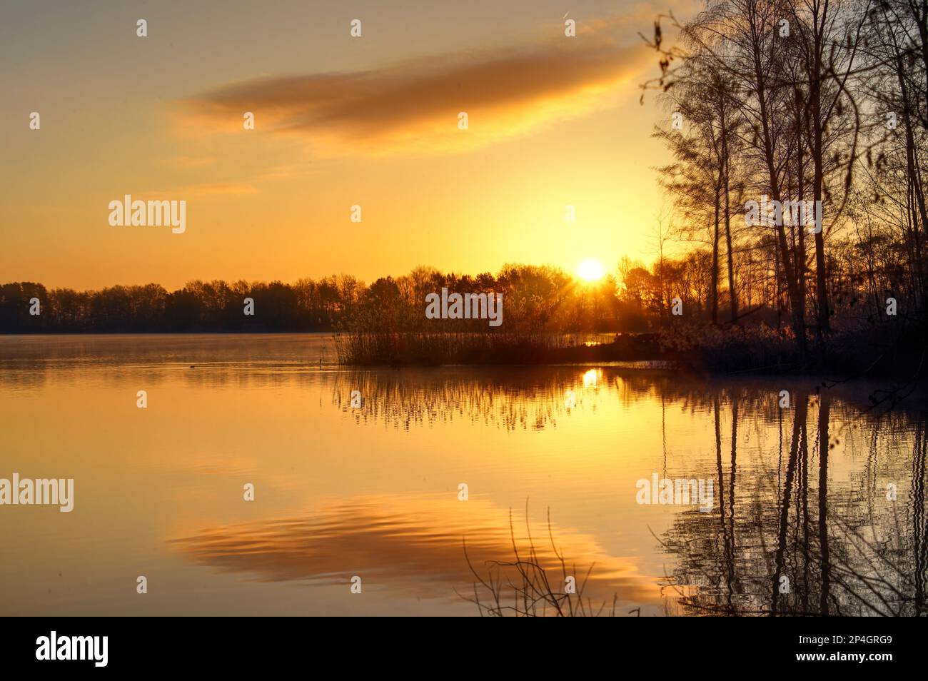 Sonnenaufgang am Angelteich  bei Mantinghausen an einem kalten Wintermorgen Stock Photo