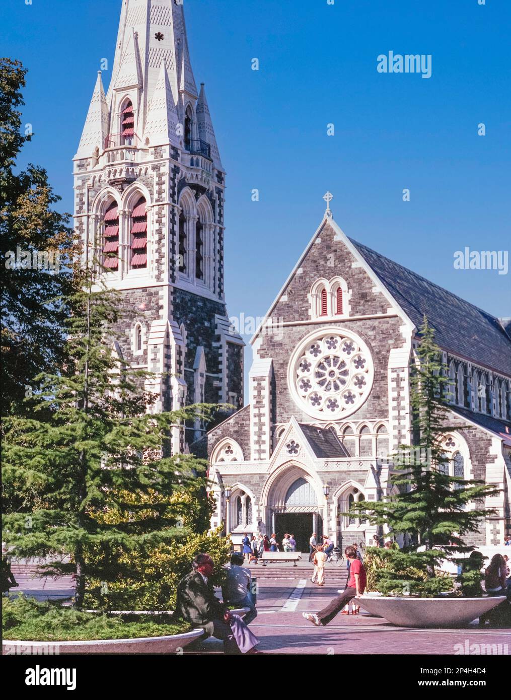 A 1981 historic image of spruce or fir trees in large dish pots in Cathedral Square in front of Christchurch Cathedral in the South Island of New Zealand Stock Photo