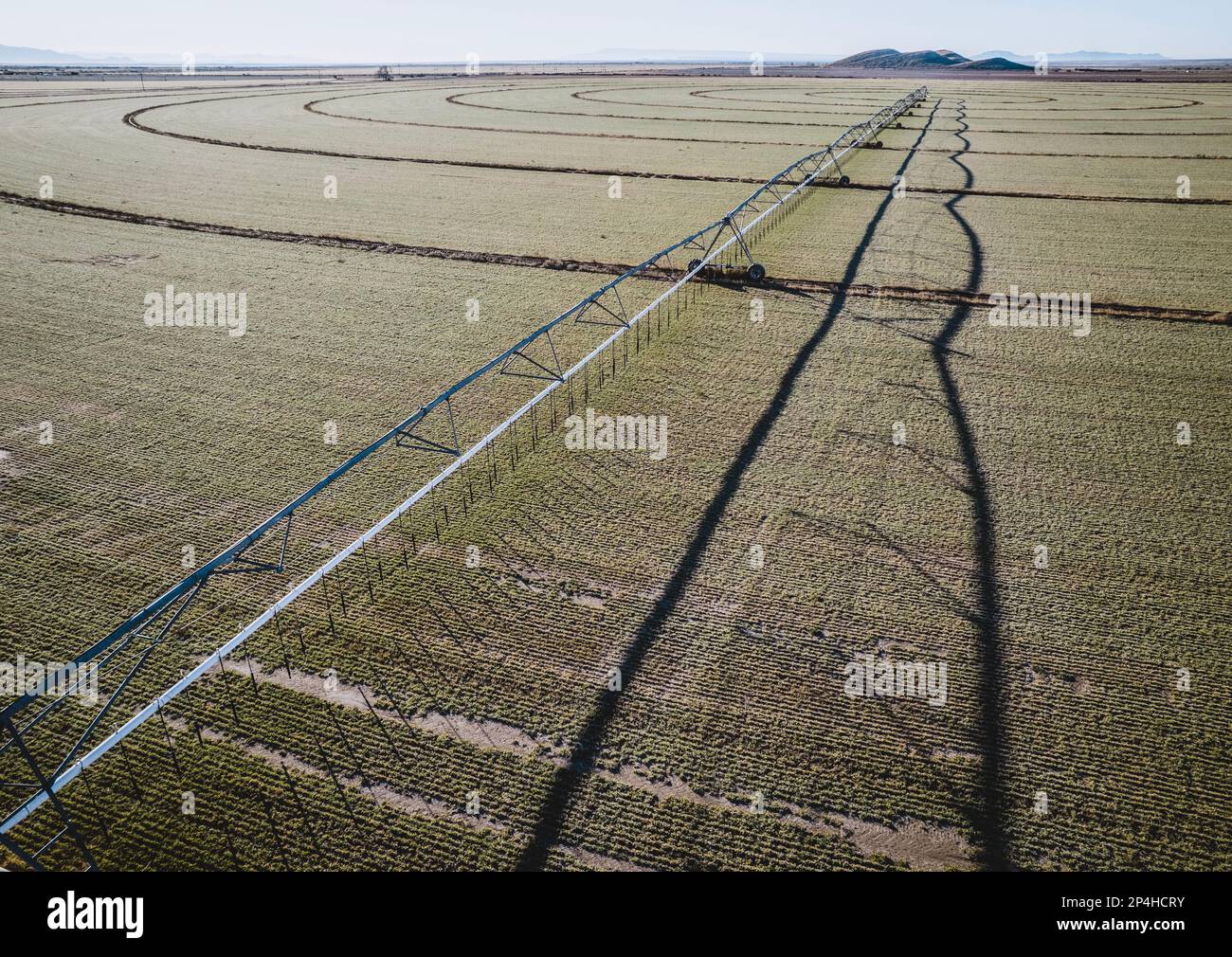 Aerial view agricultural farmland with irrigation, Dell City, Texas Stock Photo