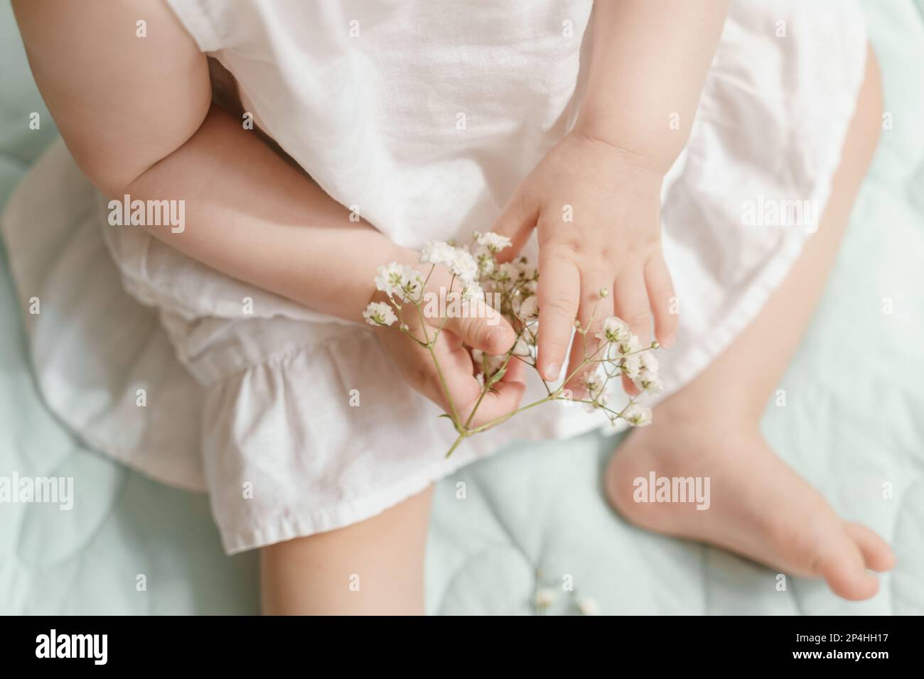 Hands of a baby girl in a white linen dress with gypsophila Stock Photo