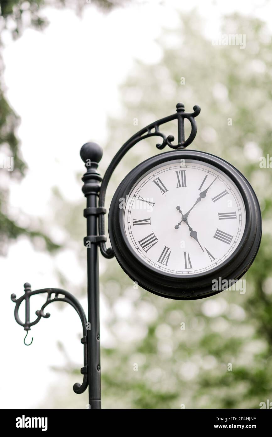 Street clock in nature park Stock Photo Alamy