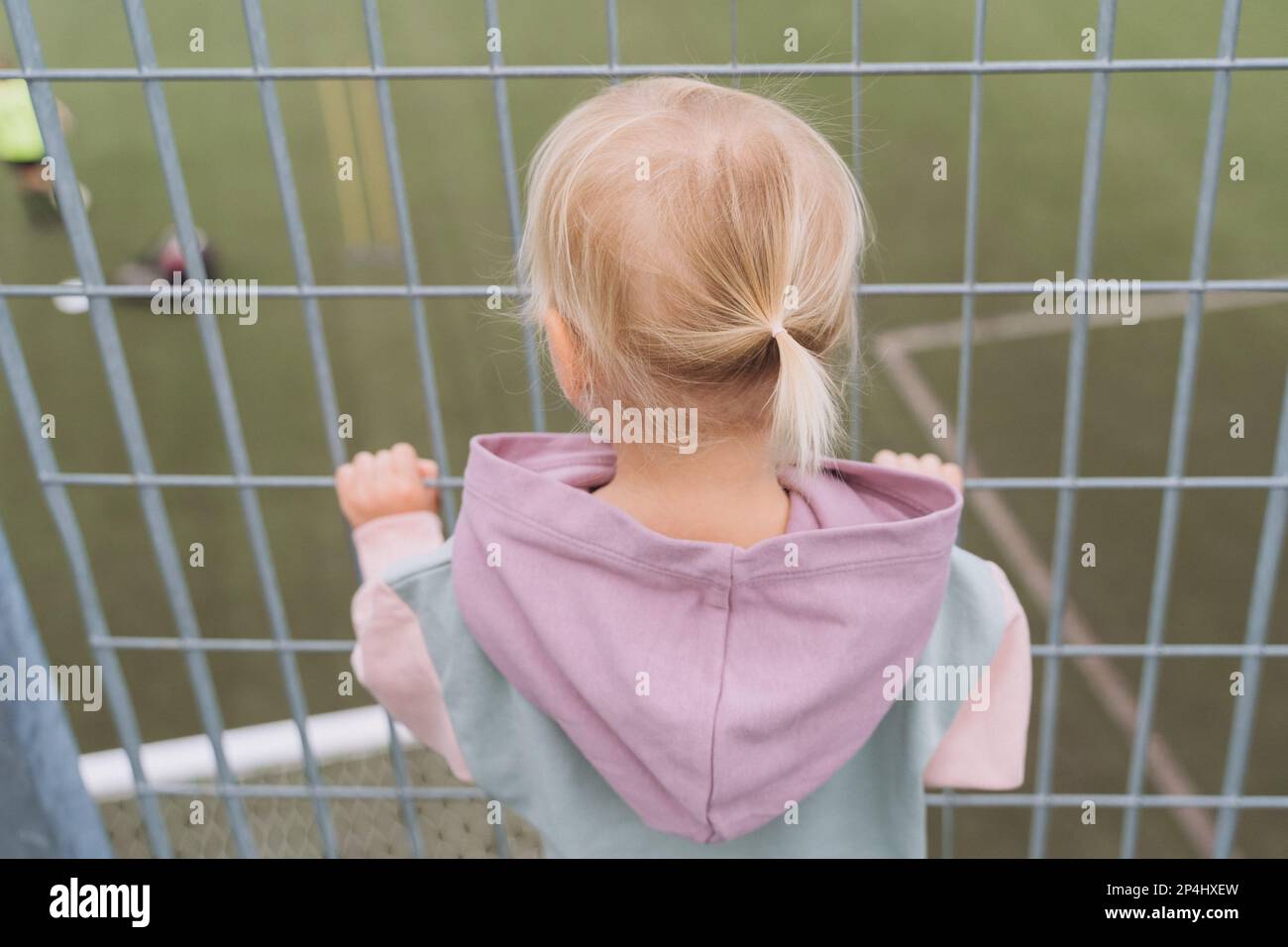 Cute ponytail of a little blonde girl, back view Stock Photo