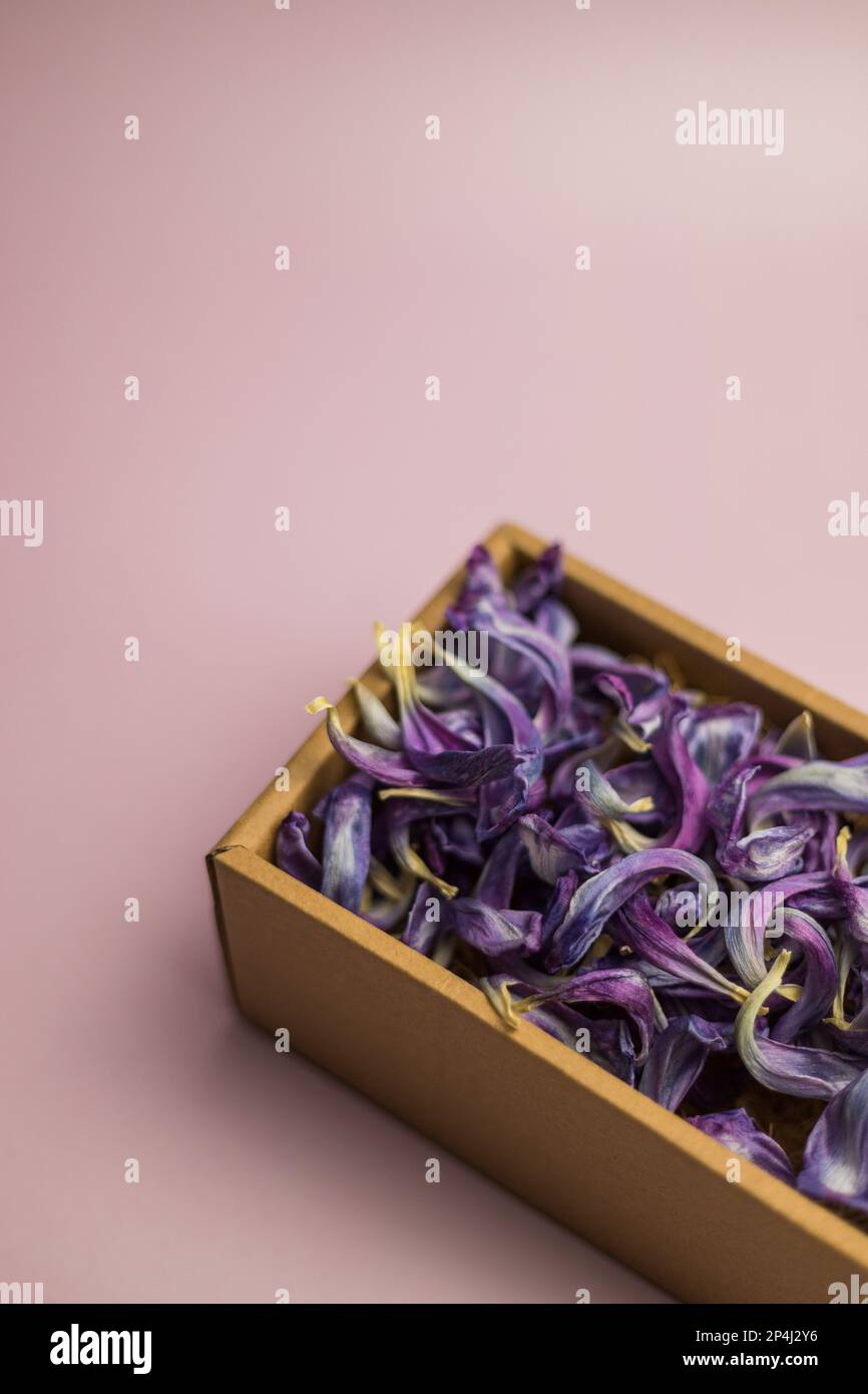 Purple dried tulip petals in box Stock Photo Alamy