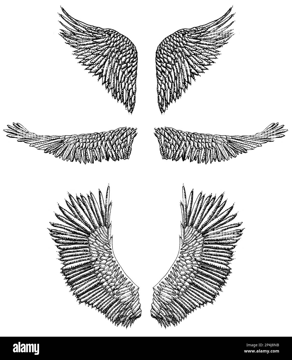 vector angel wings tribal tattoo 20513484 Vector Art at Vecteezy