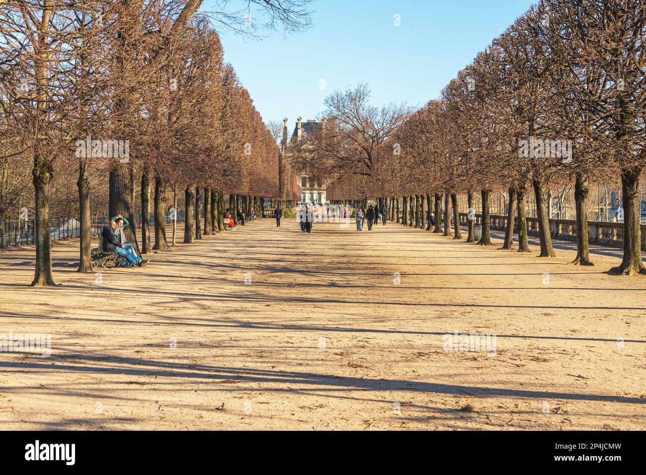 An Avenue of trees in the Jardin des Tuileries, Paris France. Stock Photo