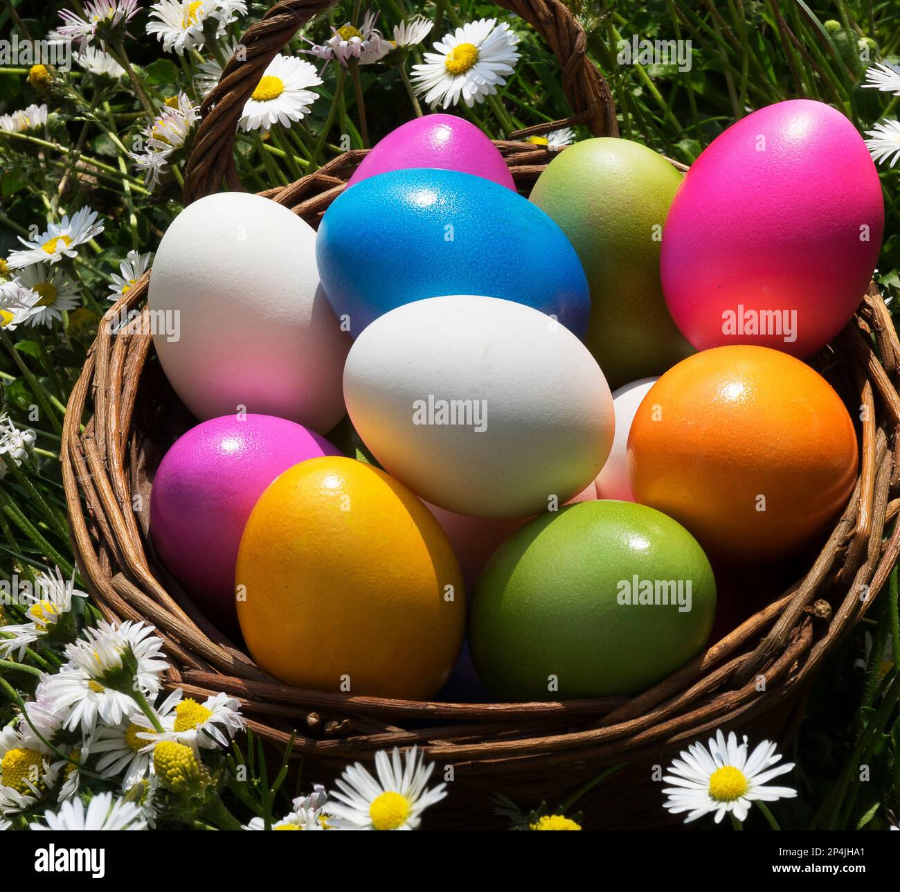 Easter eggs in the grass with daisies Stock Photo
