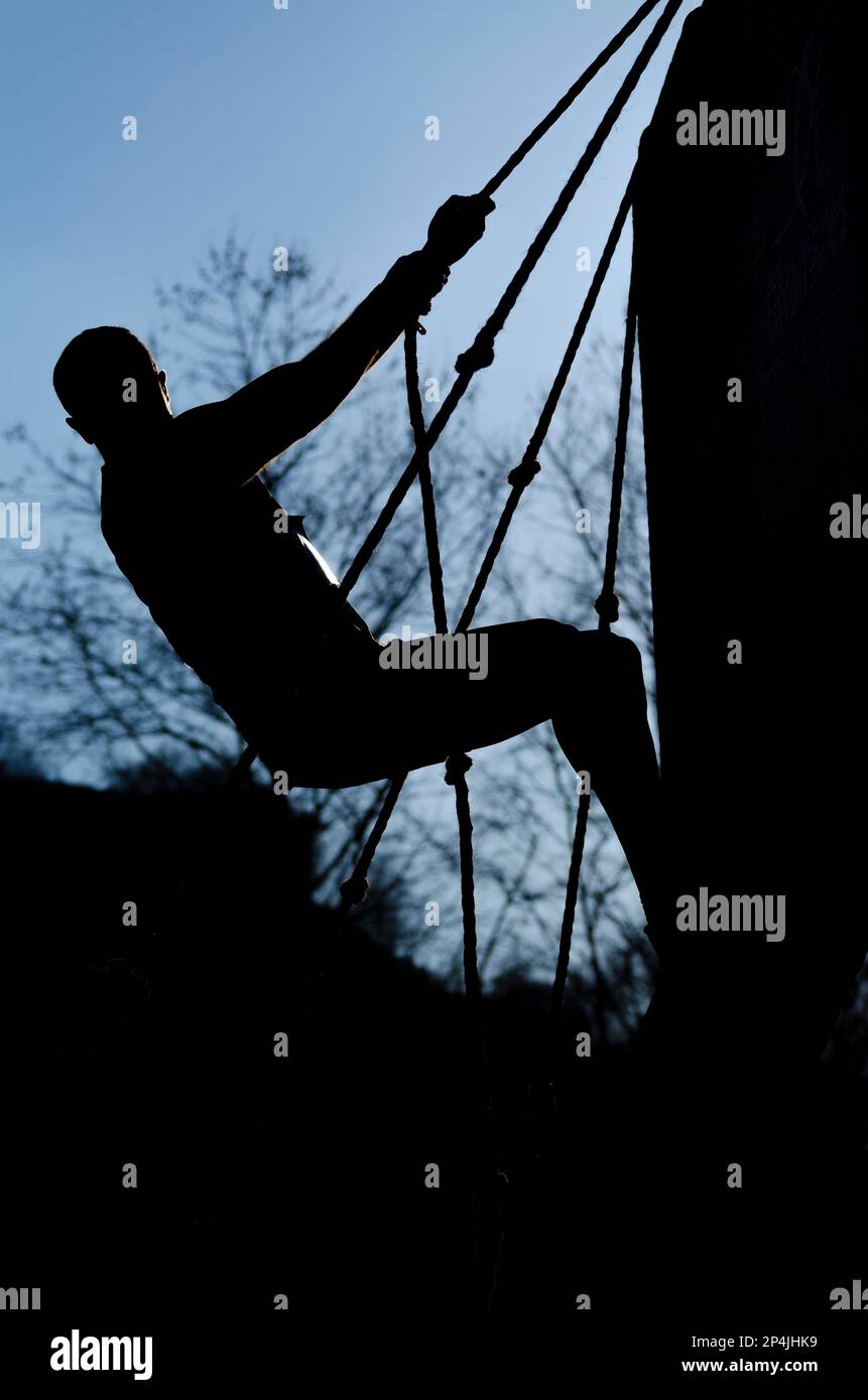 Athlete climbing an obstacle using a rope in a OCR race Stock Photo Alamy