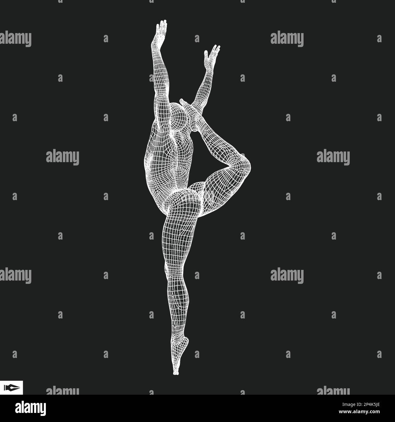 Gymnast. Man. 3D Model of Man. Human Body Model. Gymnastics Activities
