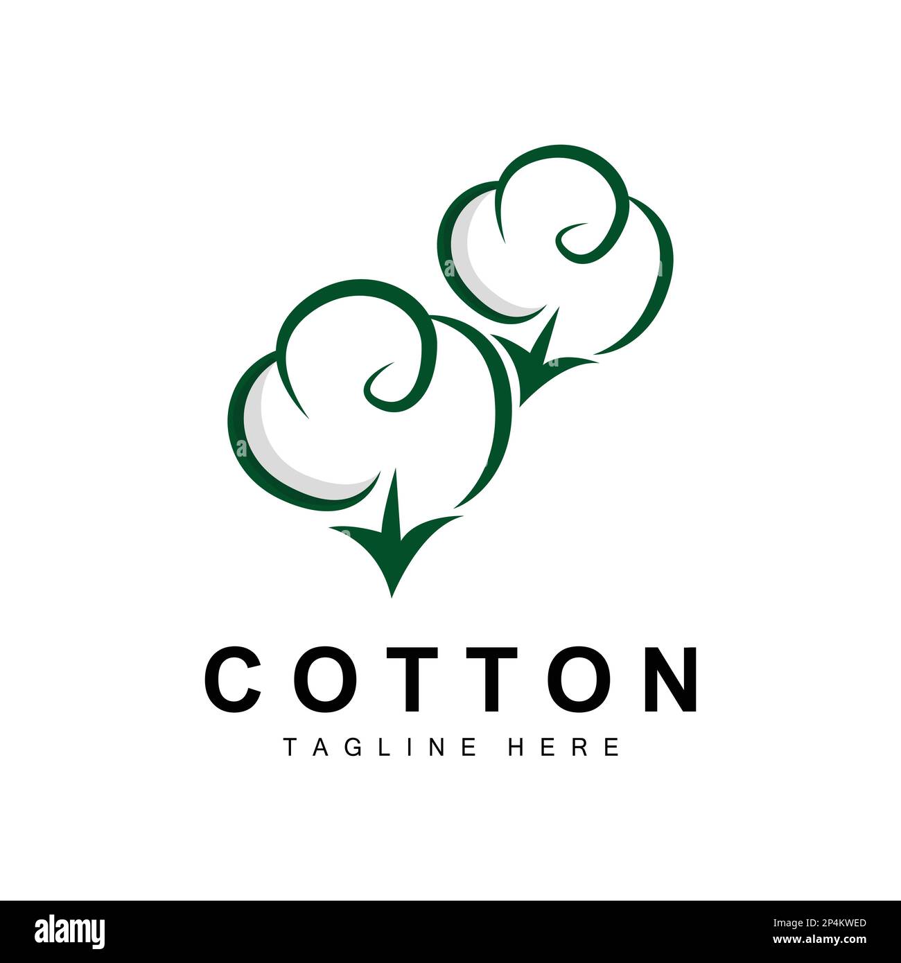 Cotton plant botanical drawing hi-res stock photography and images - Alamy