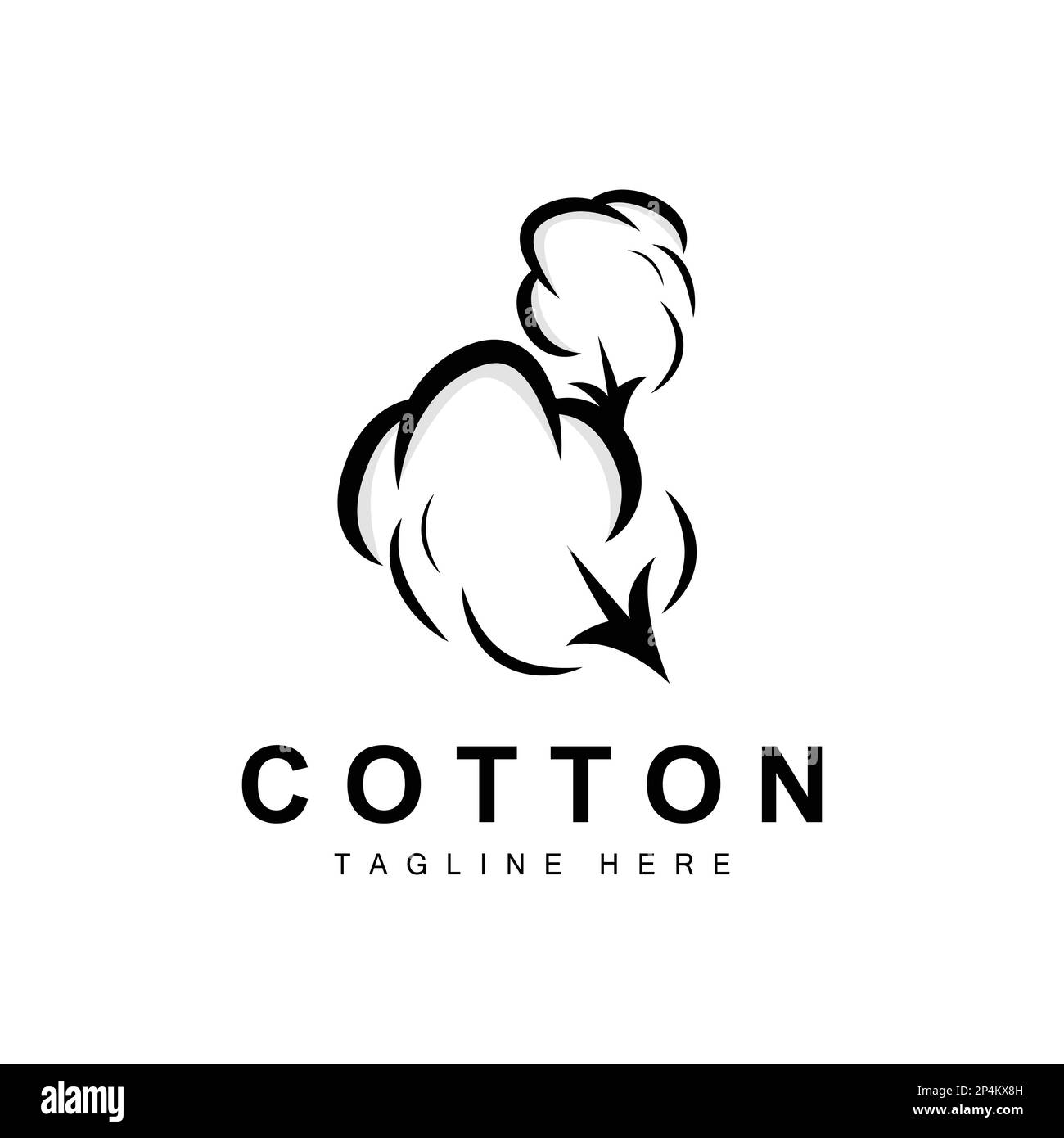 Cotton Logo, Soft Cotton Flower Design Vector Natural Organic Plants Apparel Materials And Beauty Textiles Stock Vector