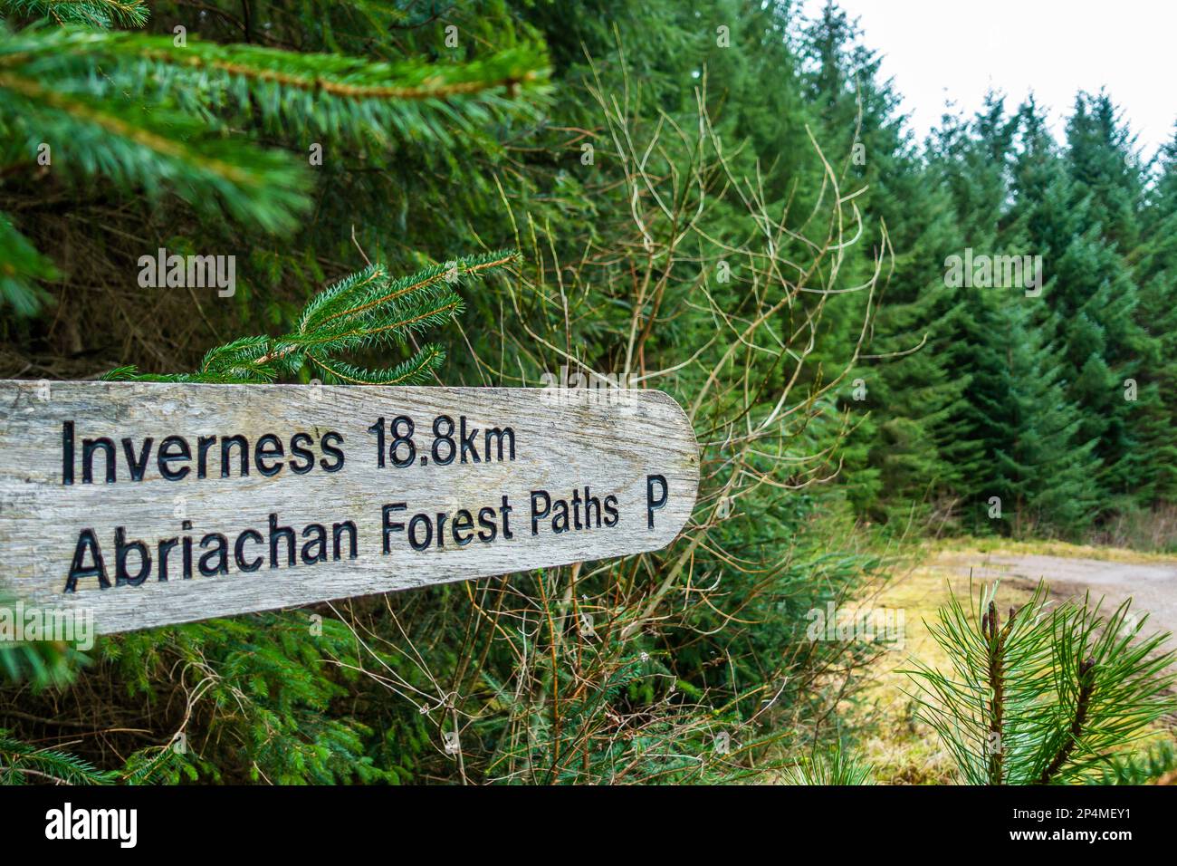 Waymarker sign posts on the Abriachan Forest Trails near Drumnadrochit Stock Photo