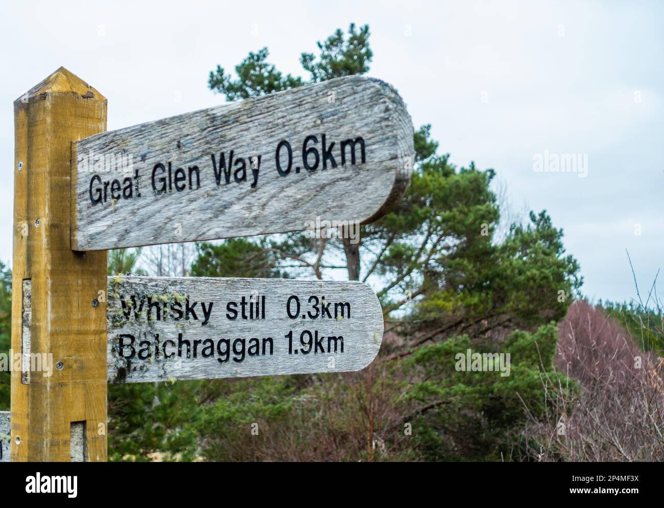 Waymarker sign posts on the Abriachan Forest Trails near Drumnadrochit Stock Photo