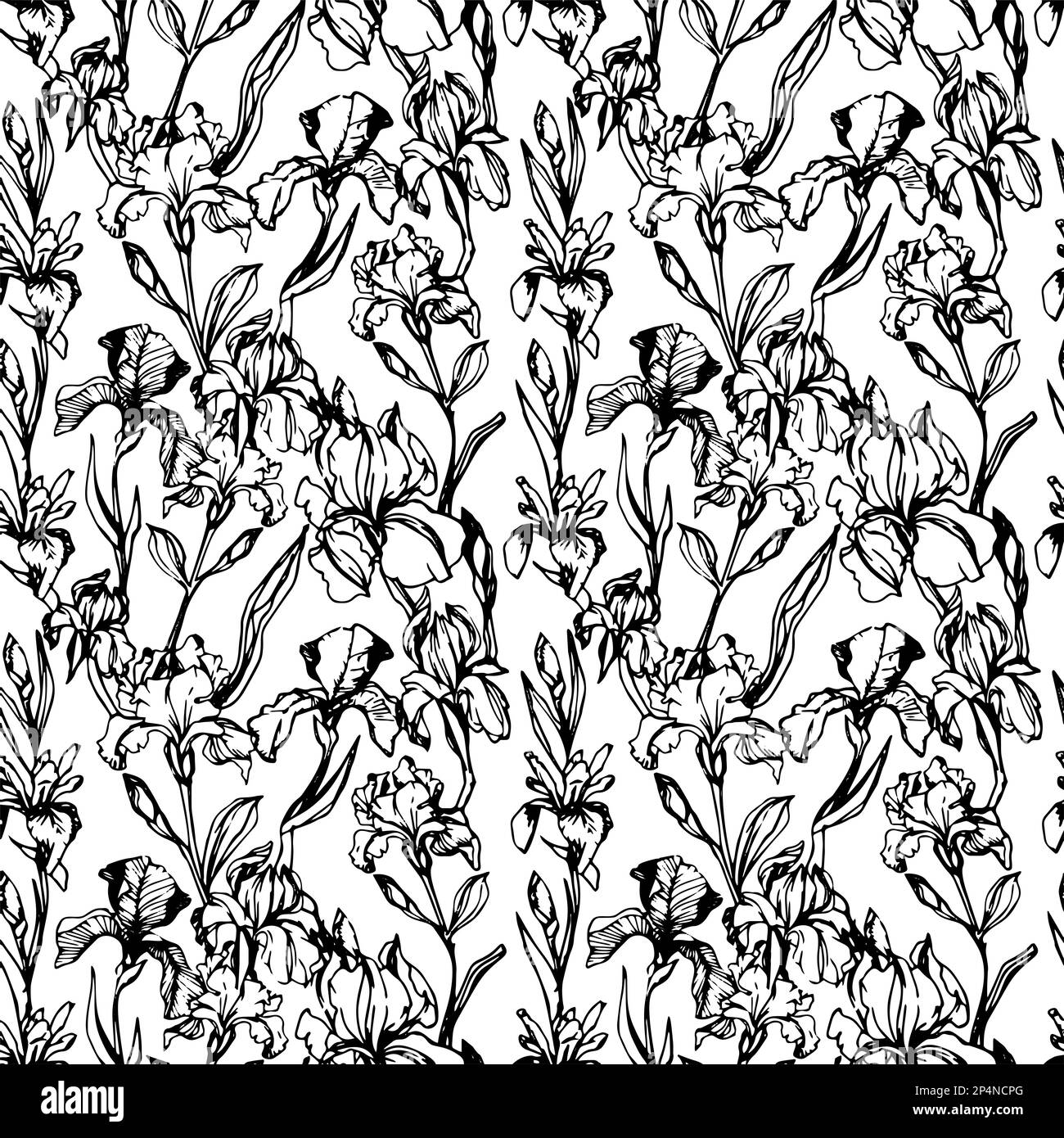 Flower spring collection Black and White Stock Photos & Images - Alamy