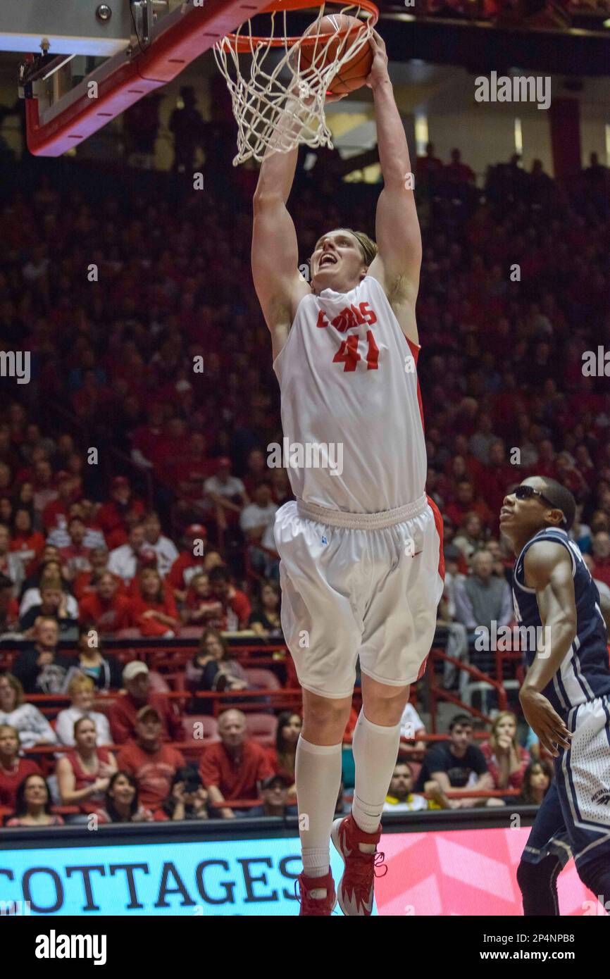 Feb 15, 2014: New Mexico Lobos forward Cameron Bairstow #41 in action  during the NCAA basketball game between Nevada Wolf Pack and University New  Mexico Lobos at The Pit in Albuquerque, New