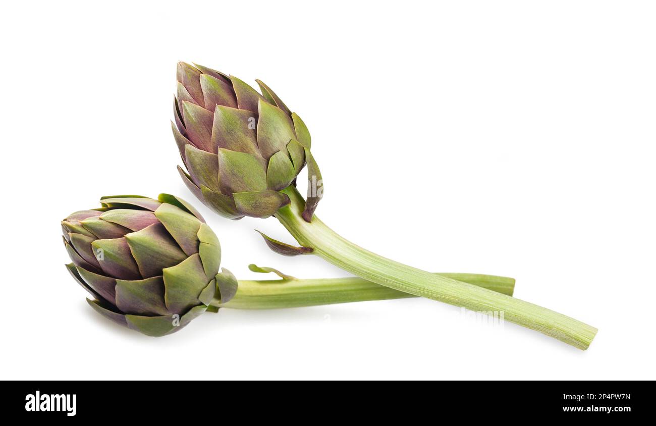 Two Fresh Artichokes Isolated on White background Stock Photo