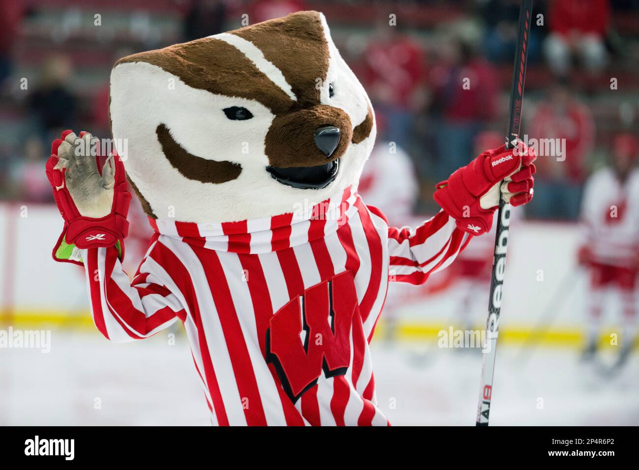 Wisconsin Badgers mascot Bucky Badger during an NCAA women's hockey