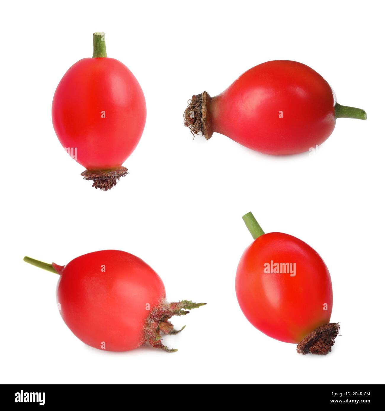 Set with ripe rose hip berries on white background Stock Photo - Alamy