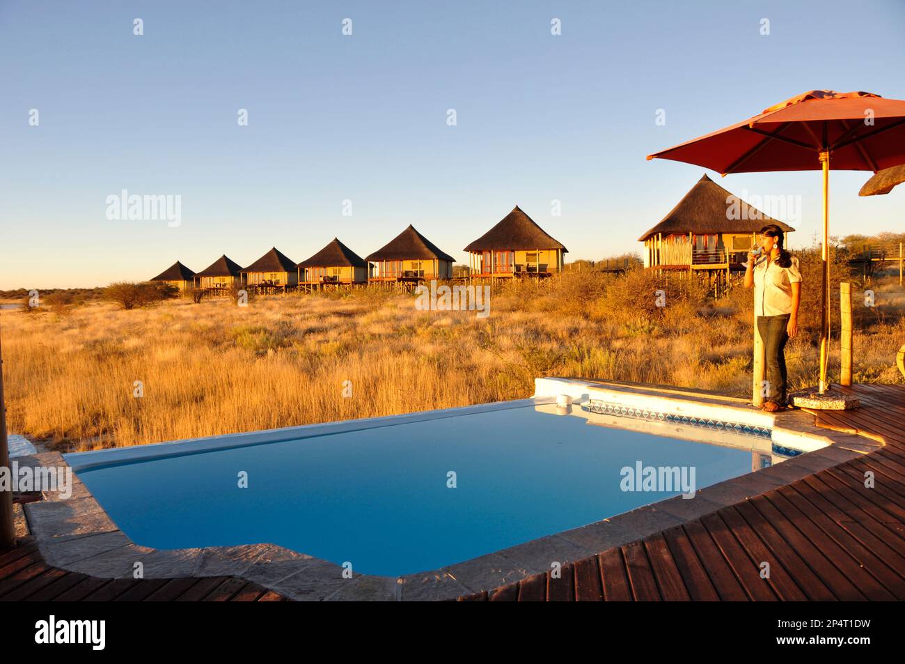 The champagne-poolo of Onkoshi Camp with breathtaking view over the Etosha Saltpans. A Namibia Wildlife Resort (NWR). Stock Photo