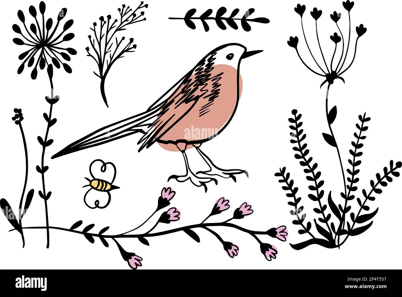 Hand drawing flower Stock Photo Alamy