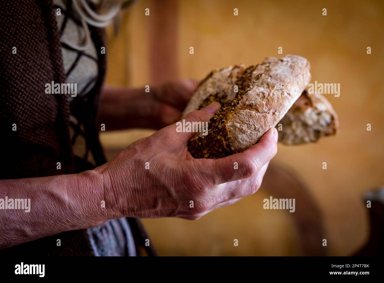 Woman in authentic peasant renaissance costume breaking the bread. Stock Photo