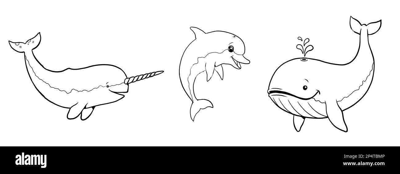 Cute narwhal, whale and dolphin to color in. Template for a coloring book with funny animals. Colouring page for kids. Stock Photo