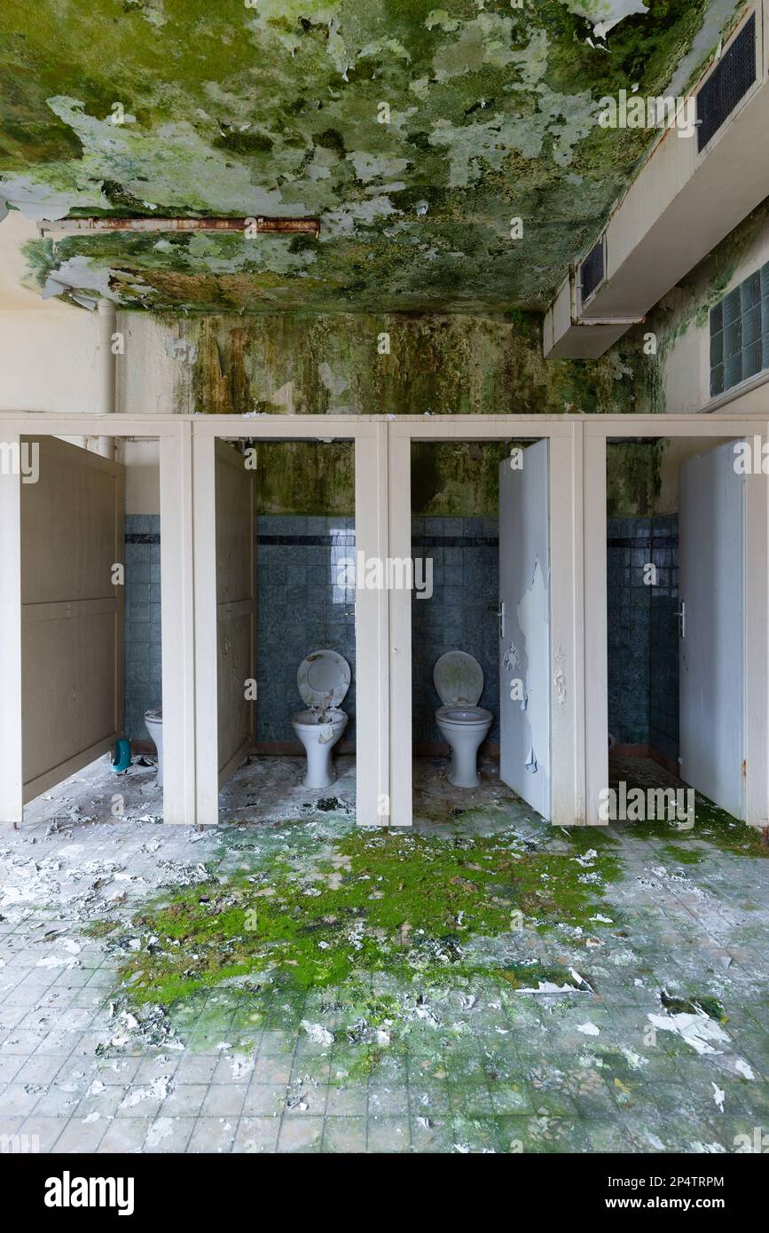 abandoned and broken toilet Stock Photo