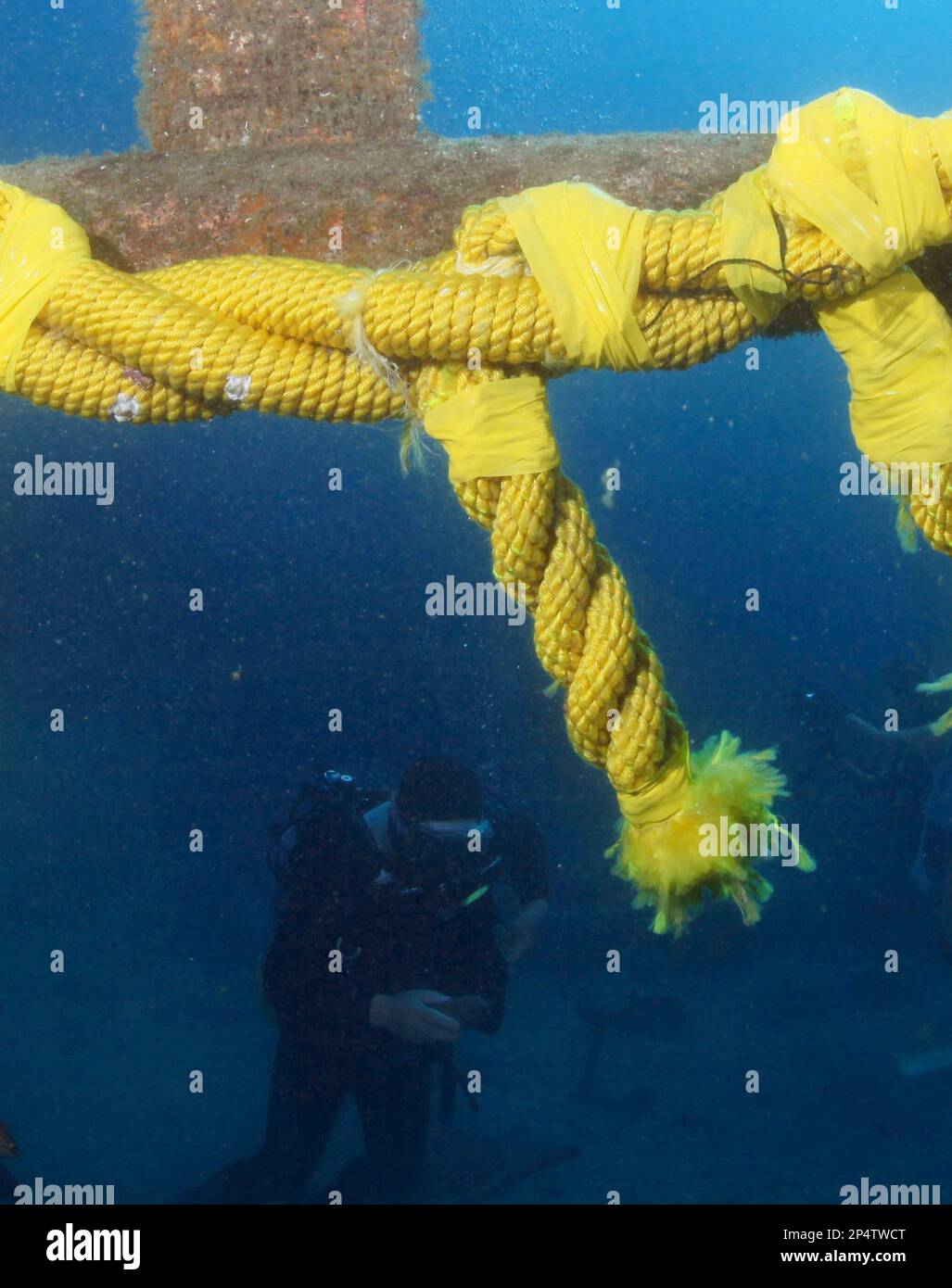 Scuba divers prepare a sacred rope at an underwater shrine gate (torii ...
