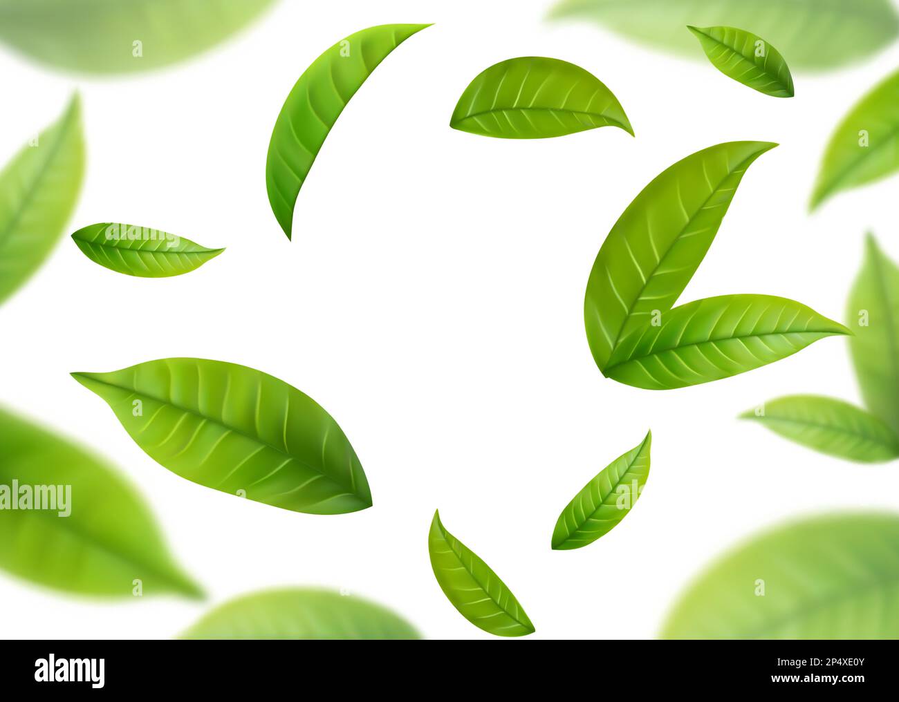 Realistic green tea leaves in motion Stock Vector
