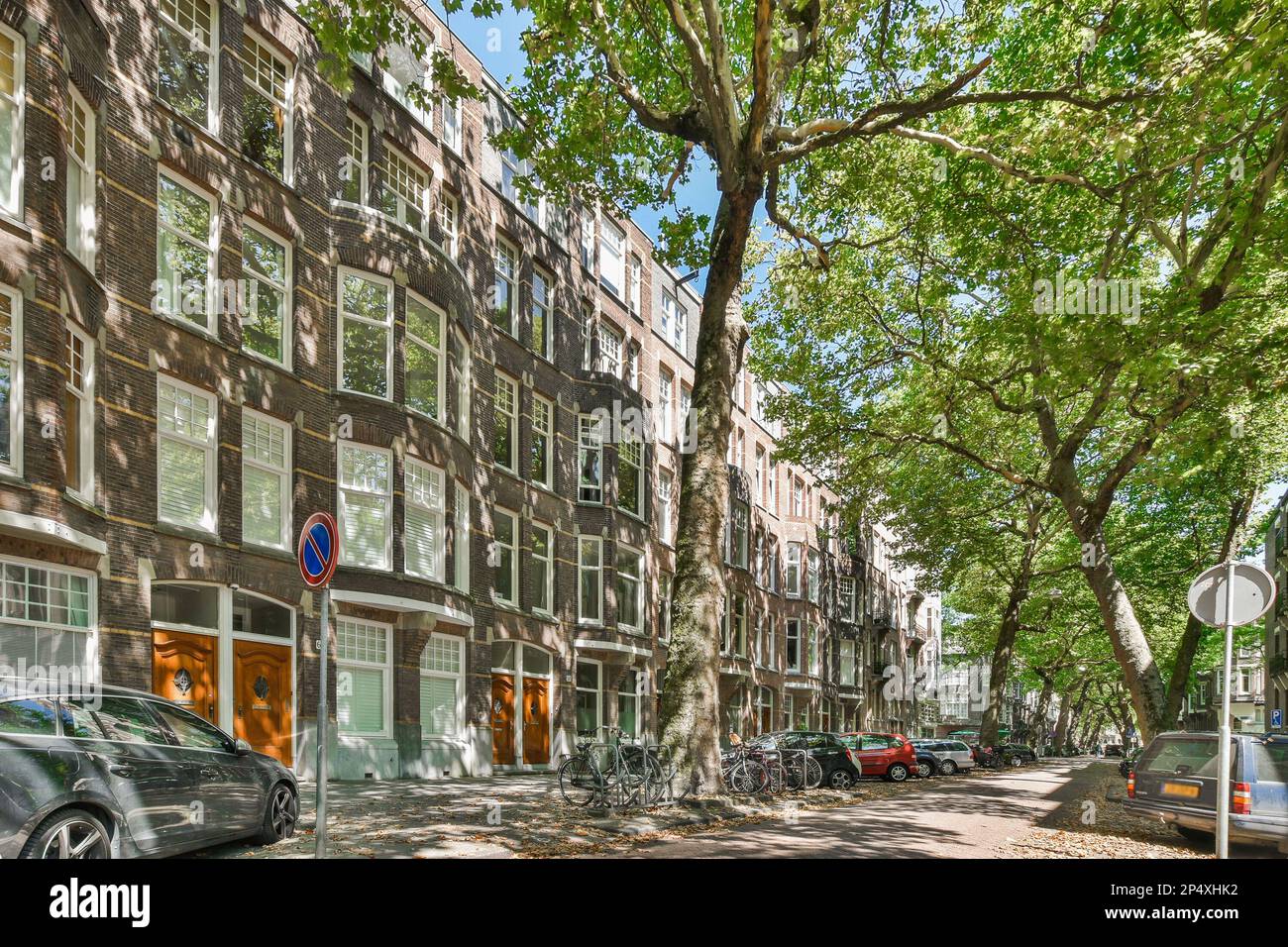 a city street with cars parked on the side and trees growing along the ...