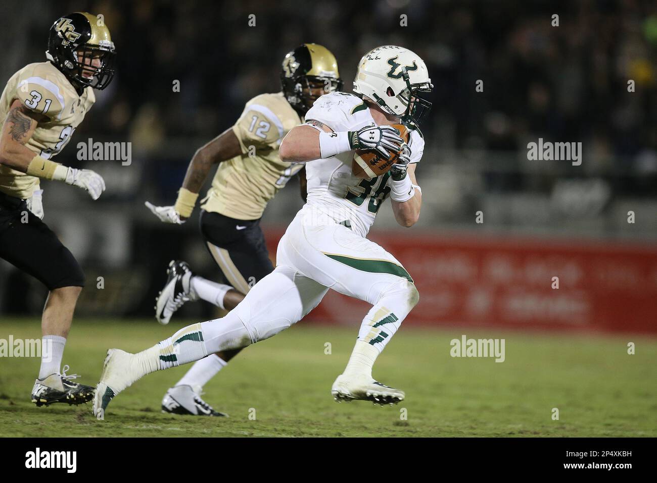 Steven Bench Usf
