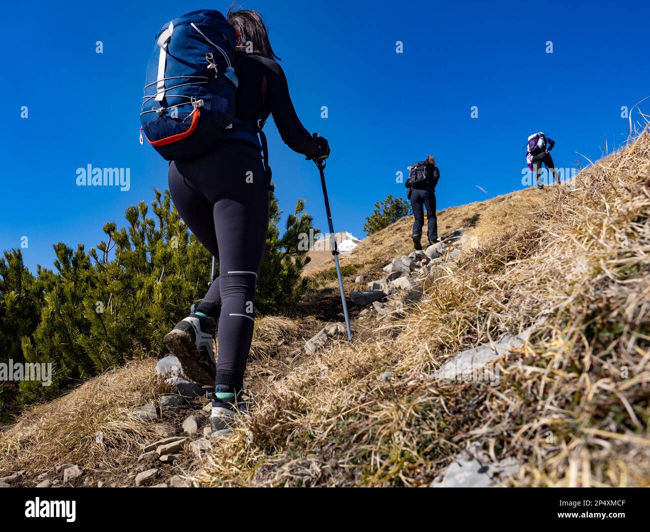 Back view of a woman in a trekking scene Stock Photo - Alamy