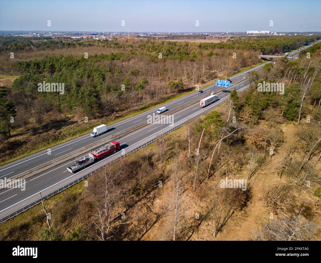 Forest dieback in the Hessian Ried at the highway A67 near Darmstadt, spruce trees are diseased and damaged by drought and insects Stock Photo