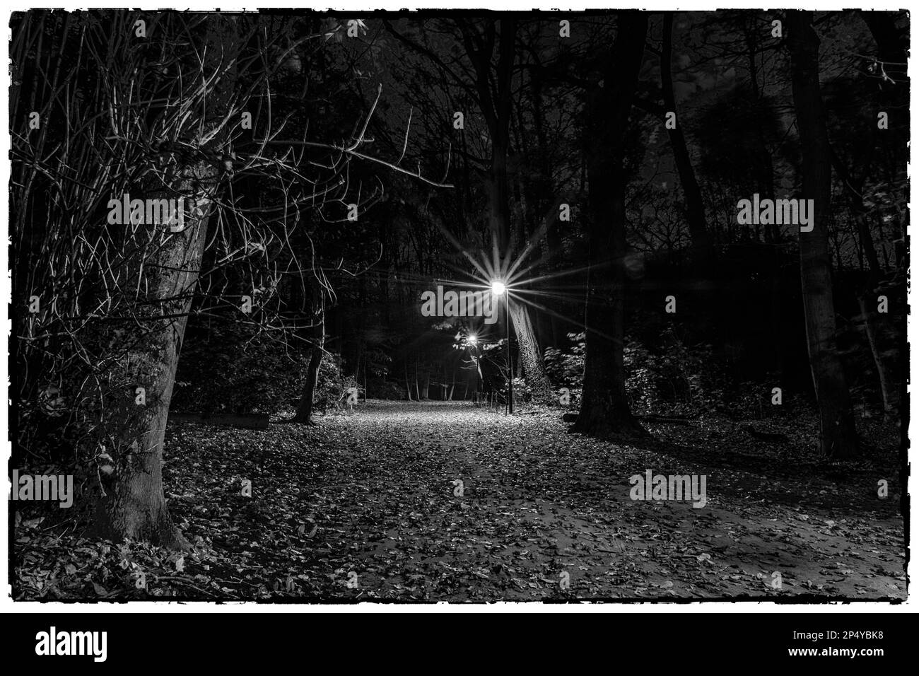 Public park at ninight with a lamp post along the path | Parc public dont le sentier est eclaire par un reverbere Stock Photo