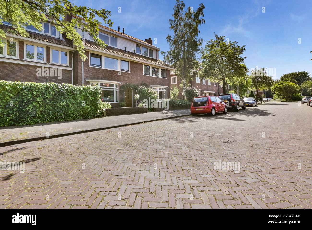 a street with cars parked on the side and trees in the back ground next ...