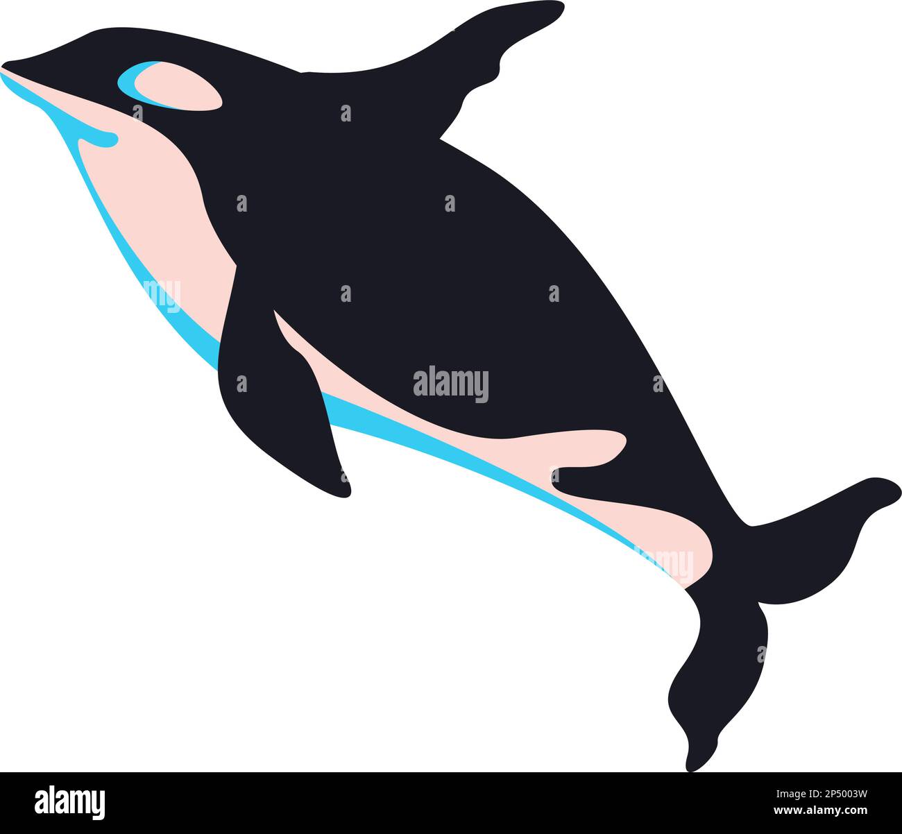 flat orca illustration Stock Vector Image & Art - Alamy