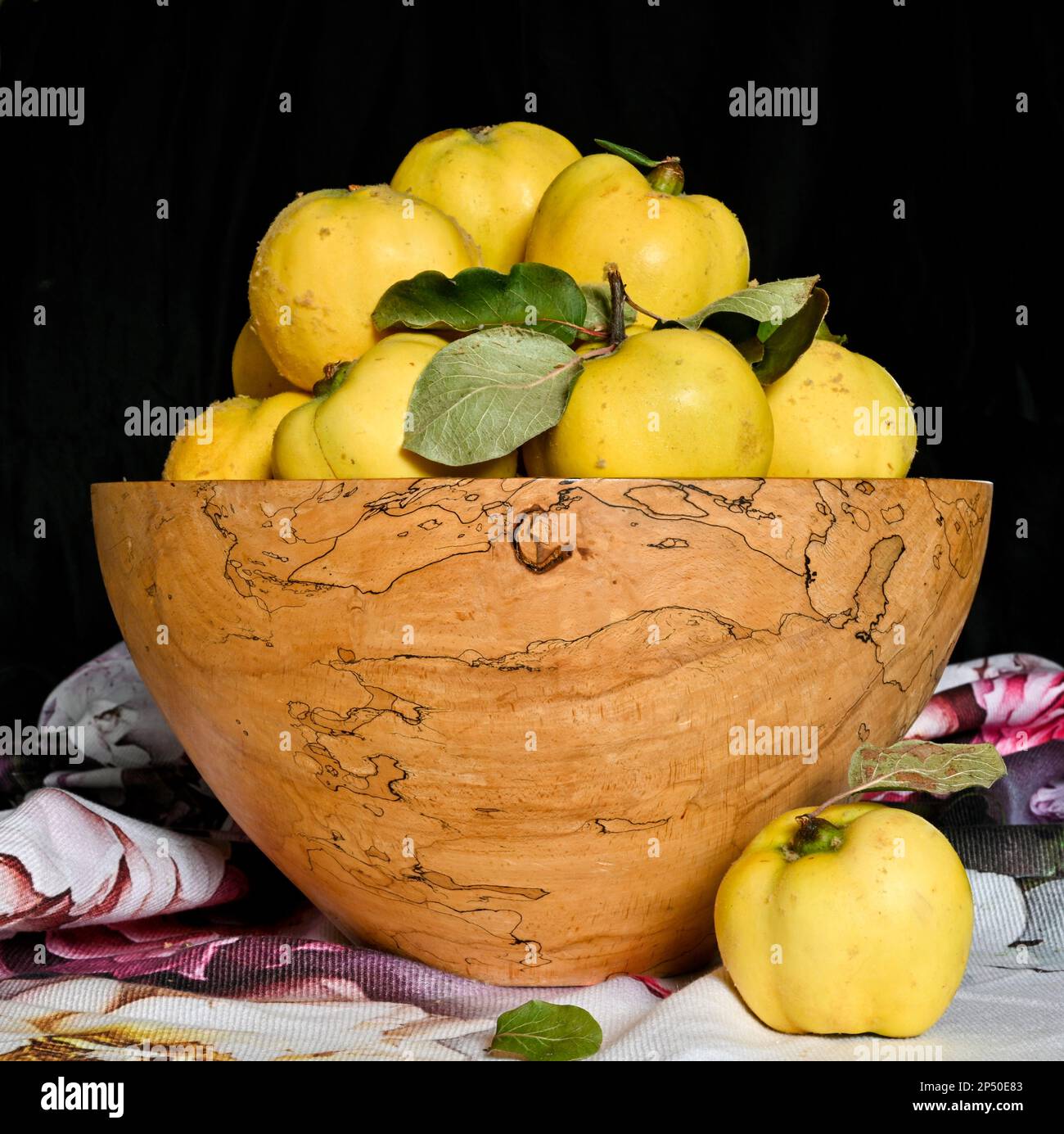 English Grown Quinces in Spalted Beech Bowl Stock Photo