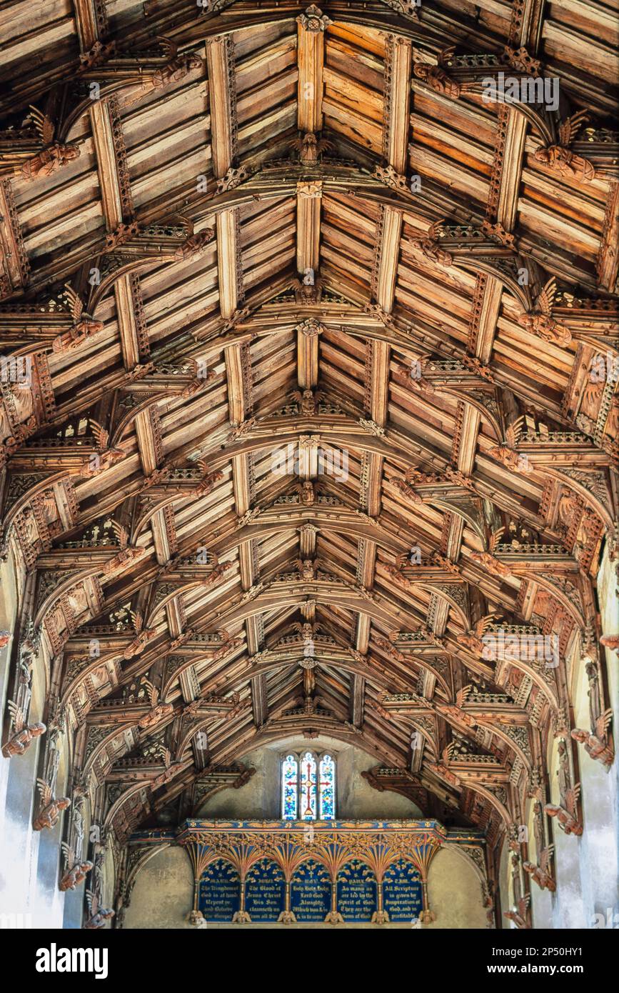 Hammerbeam roof, view of the medieval angel hammerbeam roof inside the Church of St Mary in the Suffolk village of Woolpit, England, UK Stock Photo